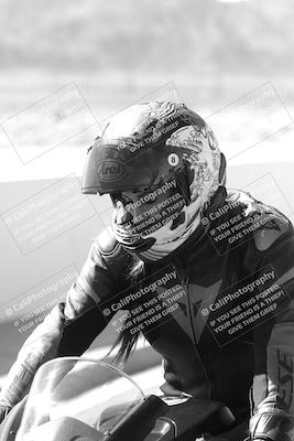 media/Mar-08-2025-TrackXperience (Sat) [[277b597a28]]/1-Around the Pits - Pre Grid/